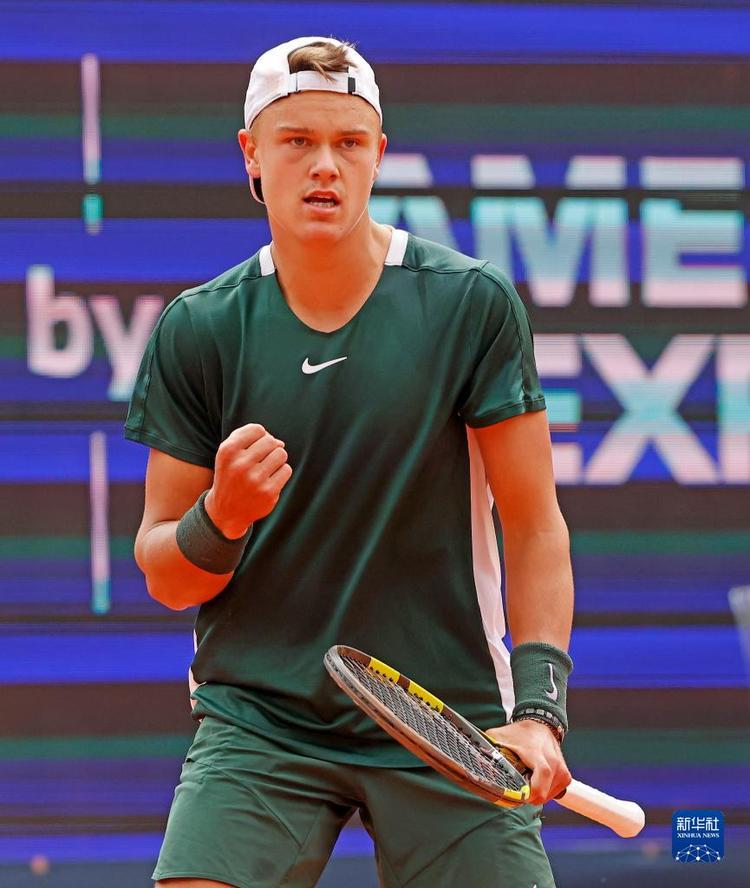 了这一称号 了这一称号