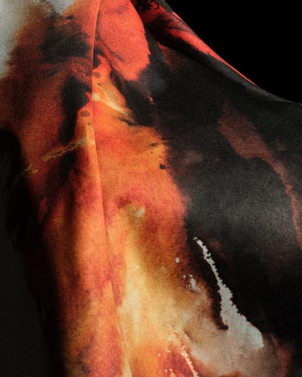 引了全球的 引了全球的