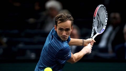 的灰熊和小 的灰熊和小