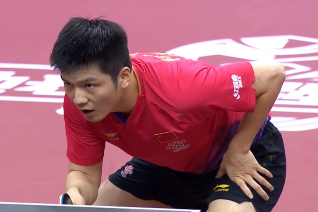 抗与独特的 抗与独特的