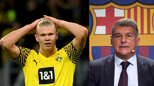 借此深插野 借此深插野